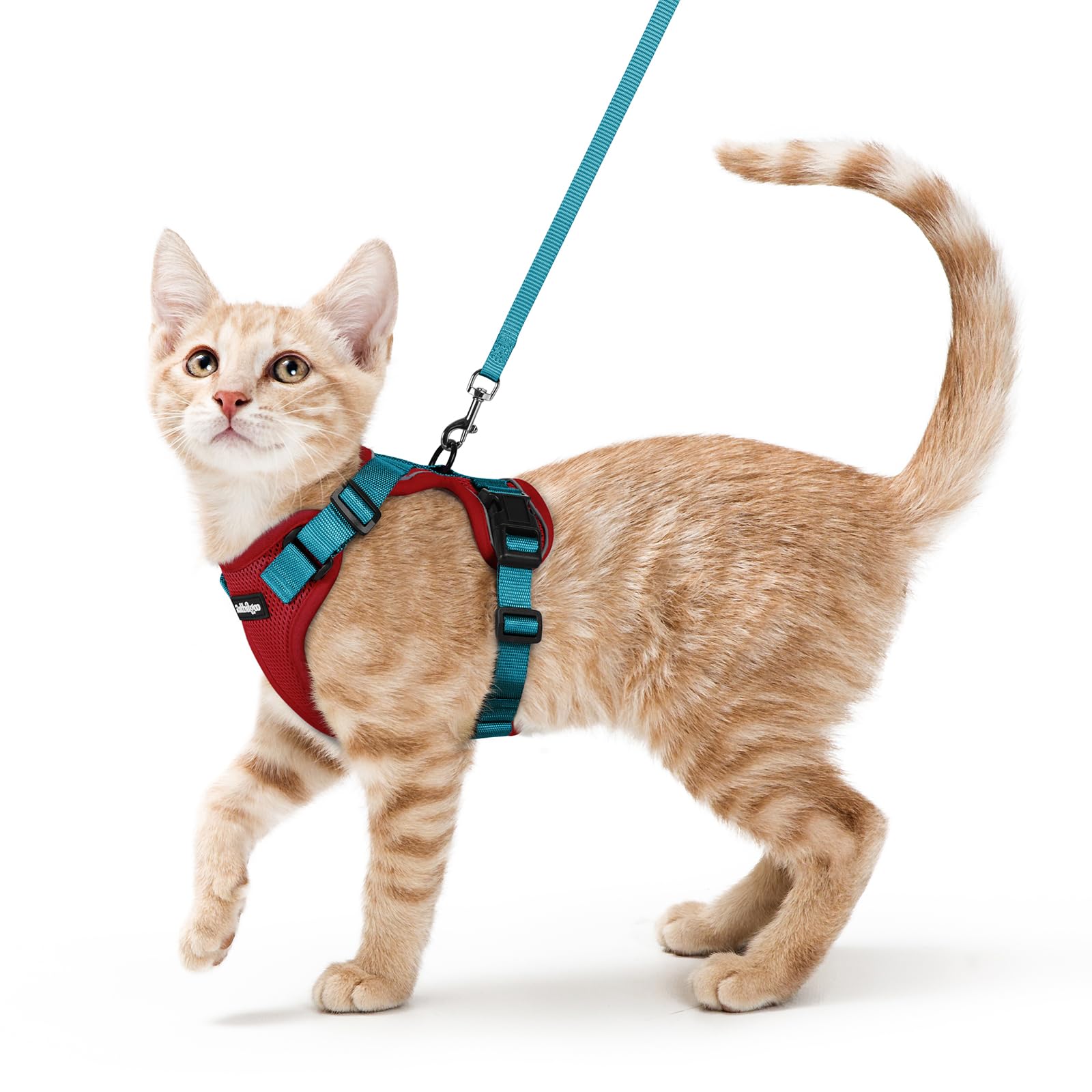 rabbitgoo Cat Harness and Leash Set, Escape Proof Vest, Emerald