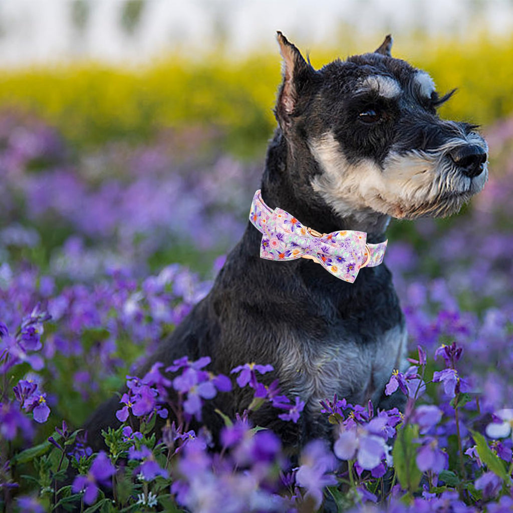 Elegant little tail Dog Collar, Rose Print Pet Collar Summer Dog Collar Durable Metal Buckle Dog Collars Cotton Pet Adjustable Dog Collars for Large Dogs