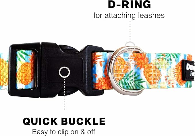 Downtown Pet Supply - Best & Fancy Dog Collar - Lightweight Adjustable with Quick Buckle & D-Ring - Hand Wash Safe - Pineapple - M - Medium
