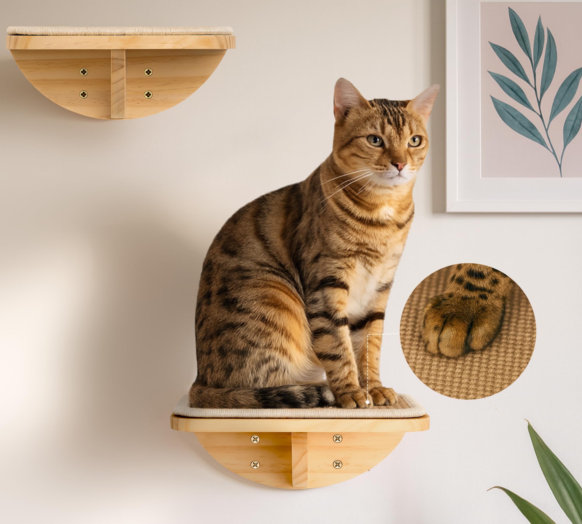 4-PCS Cat Wall Shelves with Foam-Padded Bed & Sisal Steps for Indoor Cats