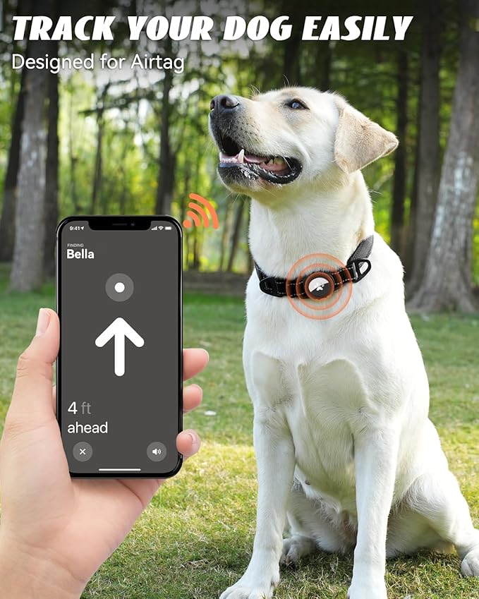 Joytale Airtag Dog Collar, Dual D-Rings, Reflective Pet Collar with Waterproof AirTag Holder, Soft Padded Adjustable for Medium Dogs, Black, M