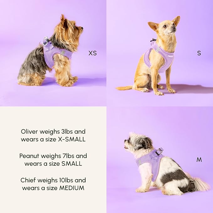 Downtown Pet Supply Step in Dog Harness for Small Dogs - Adjustable, Escape Proof Dog Harness with Reflective Trim - All-Weather, Fast-Drying Padded Mesh Fabric - Lilac, XXS