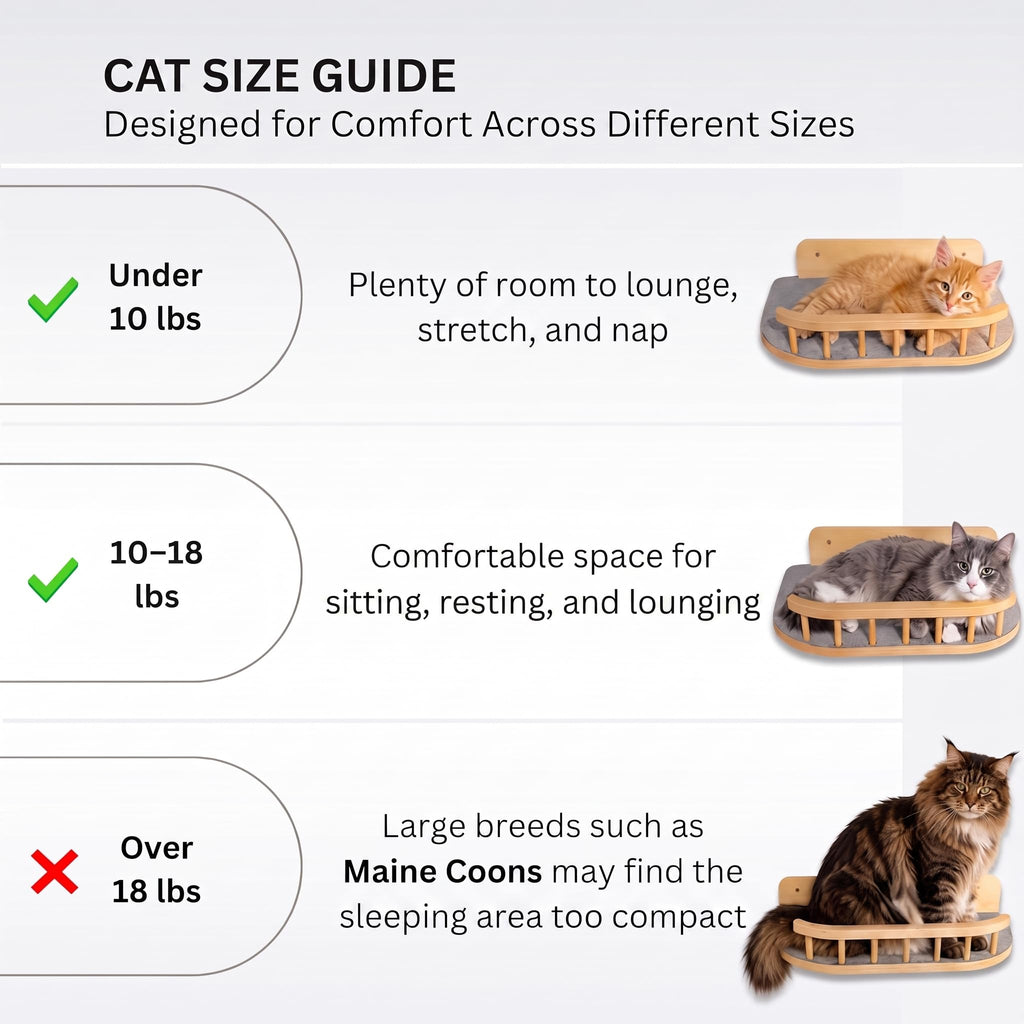 BUOGA Cat Wall Shelves, Floating Bed with 3 Cat Wall Steps - Natural