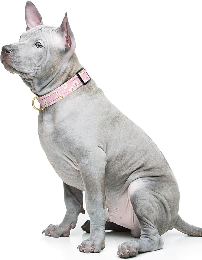 TMOODEL Reflective Dog Collar for Medium Dogs, Cute Daisy Theme Adjustable Heavy-Duty Nylon Puppy Collar for Boy and Girl Female, Soft Pet Accessories with Quick Release Buckle, Neck 14-20", Pink