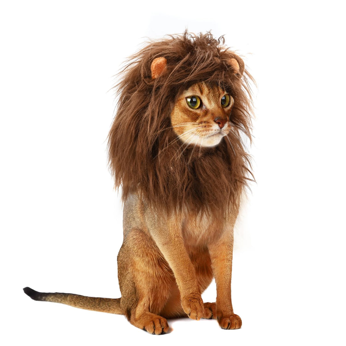 Onmygogo Lion Mane Wig for Cats, Funny Pet Cat Costumes for Halloween Christmas, Furry Pet Clothing Accessories (Size M, Melange Brown)