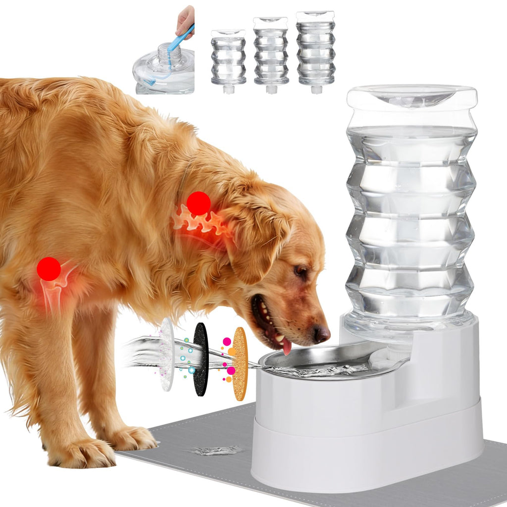 RIZZARI 8L Elevated Dog Water Dispenser: Senior Pets Filtered Hydration