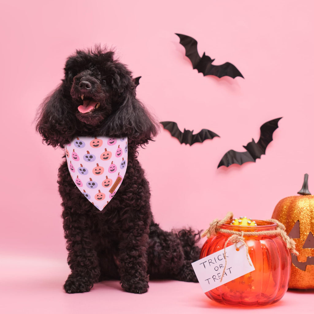 ADOGGYGO Halloween Dog Bandanas Girl, Pink Ghost Pumpkin Dog Scarf, Small