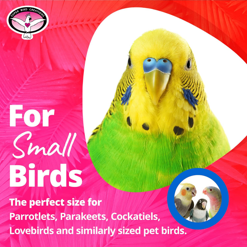 Super Bird Creations SB188 Balsa Candy Cane Bird Toy, Small Bird Size, 8" x 4"