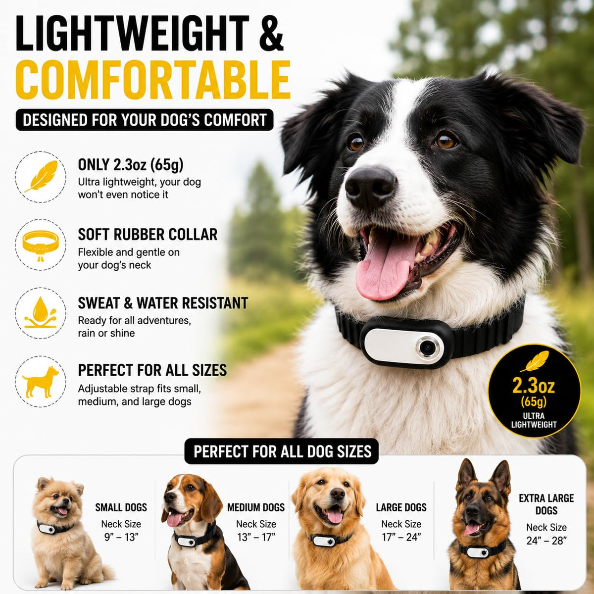 TOYDYLAN Dog & Cat Collar Camera for Small Dogs & Cats