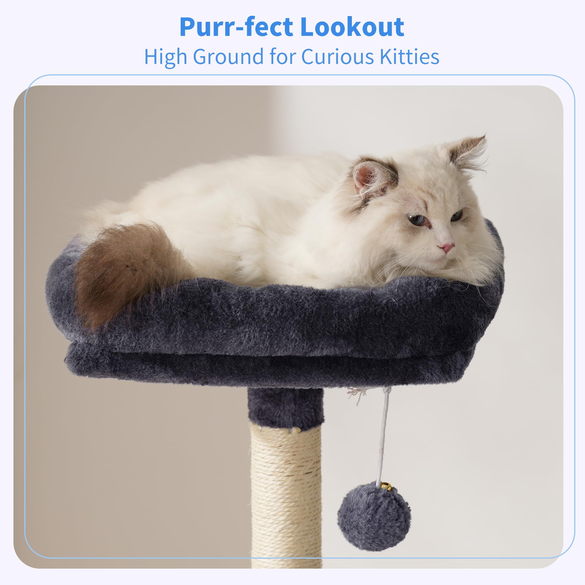 Heybly Cat Tree with Toy, 49.2 inch Cat Tower for Indoor Cats HCT200SG
