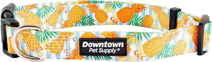 Downtown Pet Supply - Best & Fancy Dog Collar - Lightweight Adjustable with Quick Buckle & D-Ring - Hand Wash Safe - Pineapple - Large