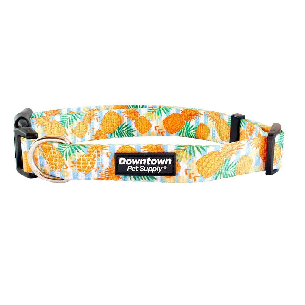 Downtown Pet Supply - Best & Fancy Dog Collar - Lightweight Adjustable with Quick Buckle & D-Ring - Hand Wash Safe - Pineapple - Large