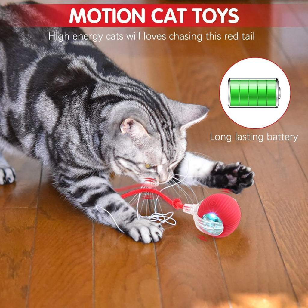 blueypet Upgrade Interactive Rolling Cats Toys Ball for Indoor