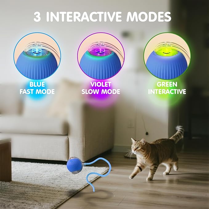 Rocfish Durable Interactive Cat Toys for Indoor Cats (Blue, 01)