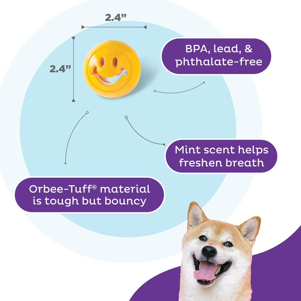 Outward Hound Nooks Happiness Interactive Durable Treat-Dispensing Dog Toy, Stuffable Puzzle Ball for Solo Play or Pair with Large Snoop, Mint-Scented, No BPA