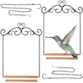 Hotop 2 Pcs Hummingbird Swings and Perches Metal Frame Bird Swing with 2 Replacement Wooden Dowel and 2 Hanging Chain for Outdoor Bird Feeders, Planters, Lanterns Ornaments(Black)