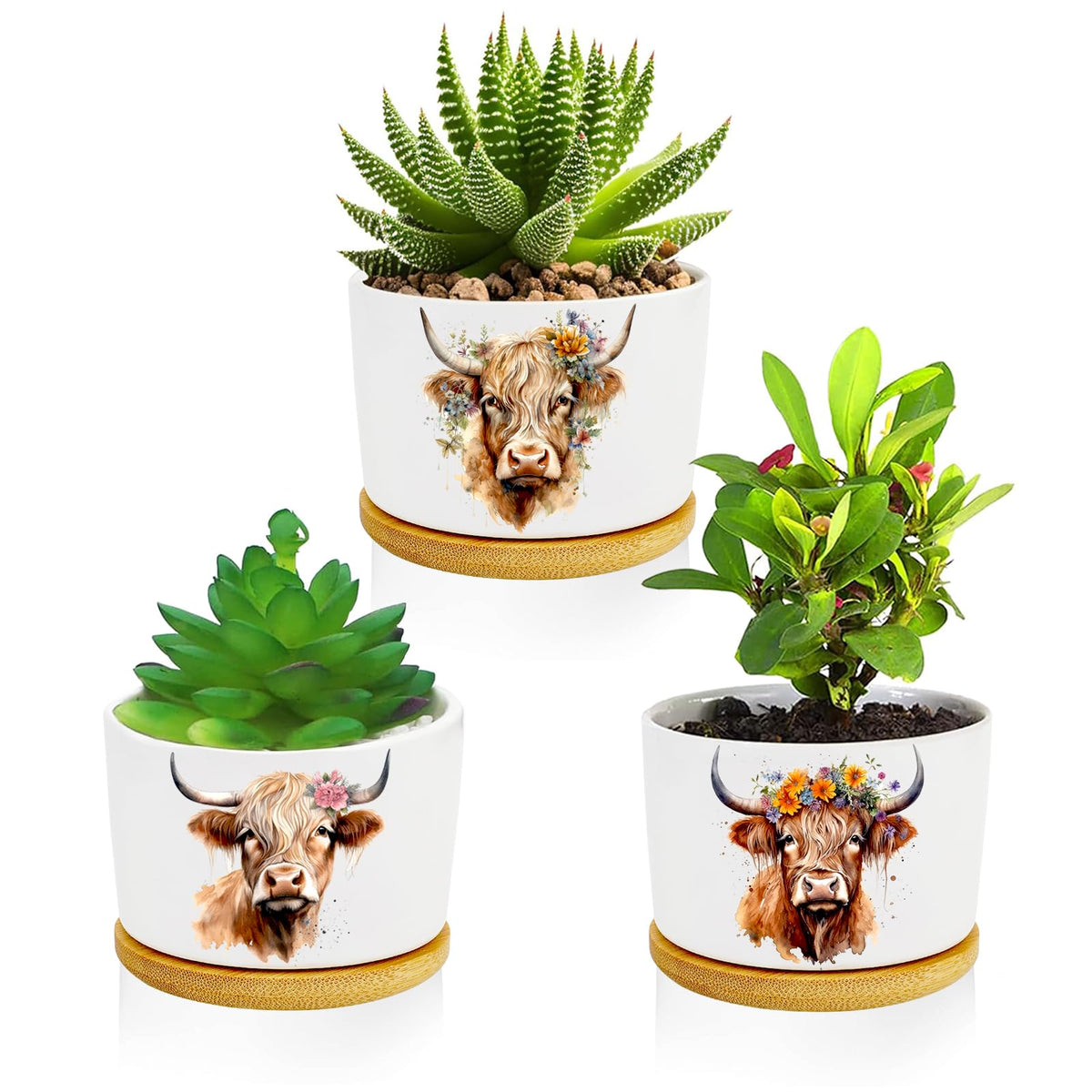 1Pcs Dog Window Garden Planter Pots with Drainage Tray, Ceramic Pot 3 Inch