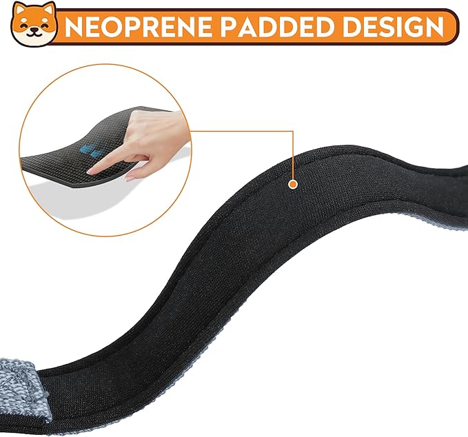 PWOD Reflective Dog Collar, Adjustable Soft Neoprene Padded Nylon Pet Collars with Buckle for Small Dogs, Gray,S