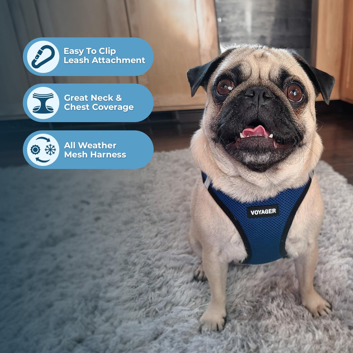 Best Pet Supplies Voyager Step-in Air All Weather Mesh Harness and Reflective Dog 5ft Leash Combo with Neoprene Handle, for Small, Medium and Large Breed Puppies - Blue/Black Trim, Medium