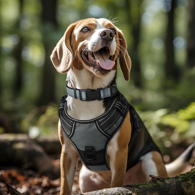 Joytale Reflective Dog Collar, Adjustable Neoprene Padded, Gray XL