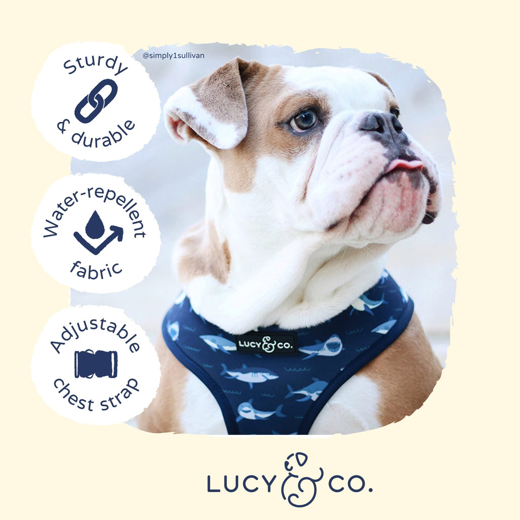 Lucy & Co. Reversible Dog Harness - Water-Repellent Neoprene, Dual-Print Design, Easy Swap Style, Adjustable Comfort Fit - Shark Attack Reversible Harness - Large