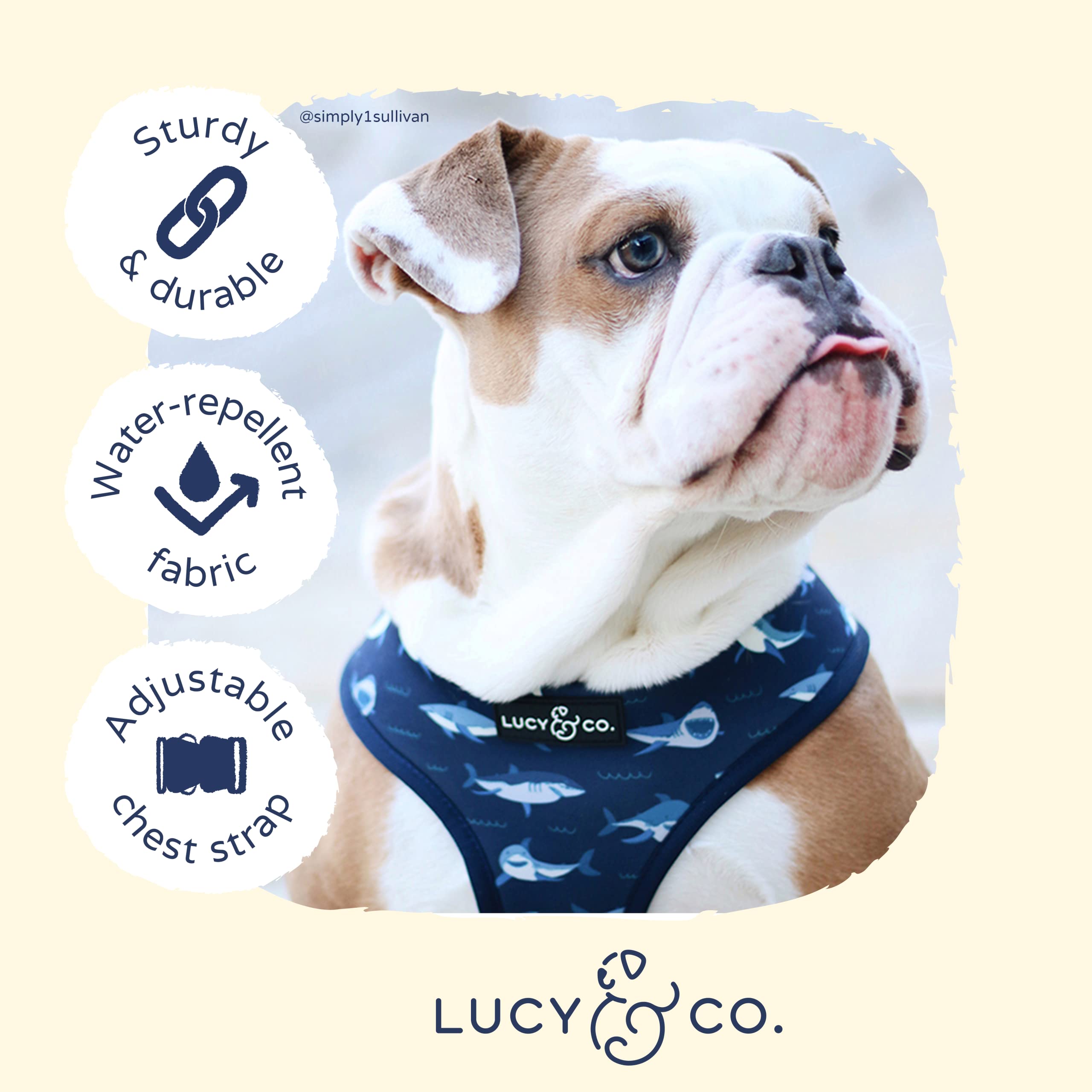 Lucy & Co. Reversible Dog Harness - Water-Repellent Neoprene, Dual-Print Design, Easy Swap Style, Adjustable Comfort Fit - Shark Attack Reversible Harness - Large