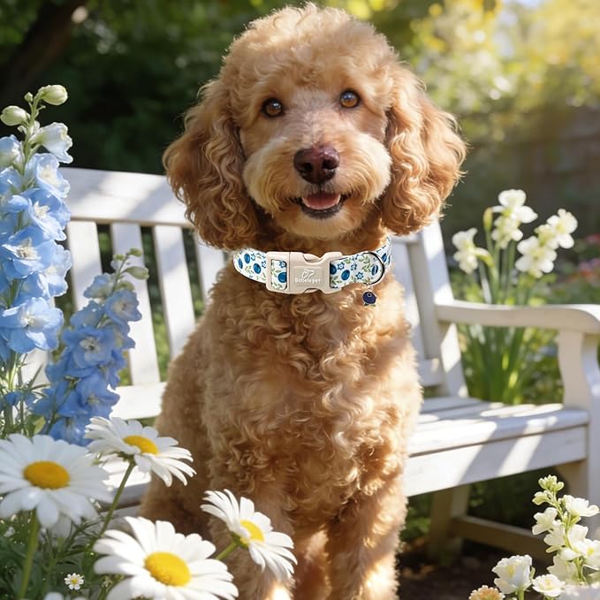 Babole Pet Spring/Summer Dog Collar for Large Dogs - Fresh Blueberry Girl Boy Dog Collars, Soft Lightweight Puppy Collar, Breathable Adjustable Male Female Fruit Floral Dogs Collars XL