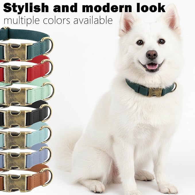 Silicone Dog Collar and Leash Set, Waterproof & Odor-Proof Puppy Collar for Small Dogs, Soft Flexible Leather-Look Dog Collars, Durable Thick Adjustable Pet Collar (Red, Large (16-24.5" Neck))