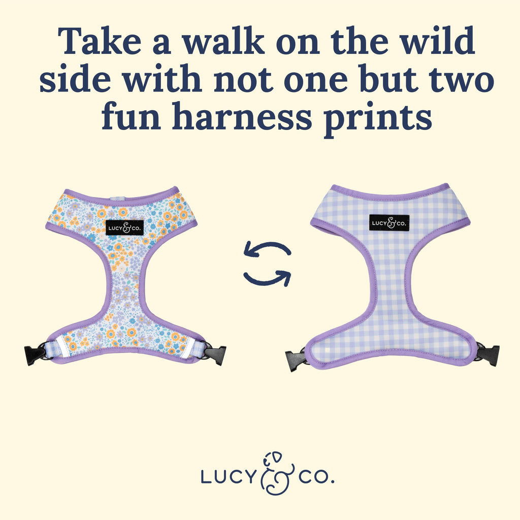 Lucy & Co. Reversible Dog Harness - Water-Repellent Neoprene, Dual-Print Design, Easy Swap Style, Adjustable Comfort Fit - Among Wildflowers Reversible Harness - X-Large