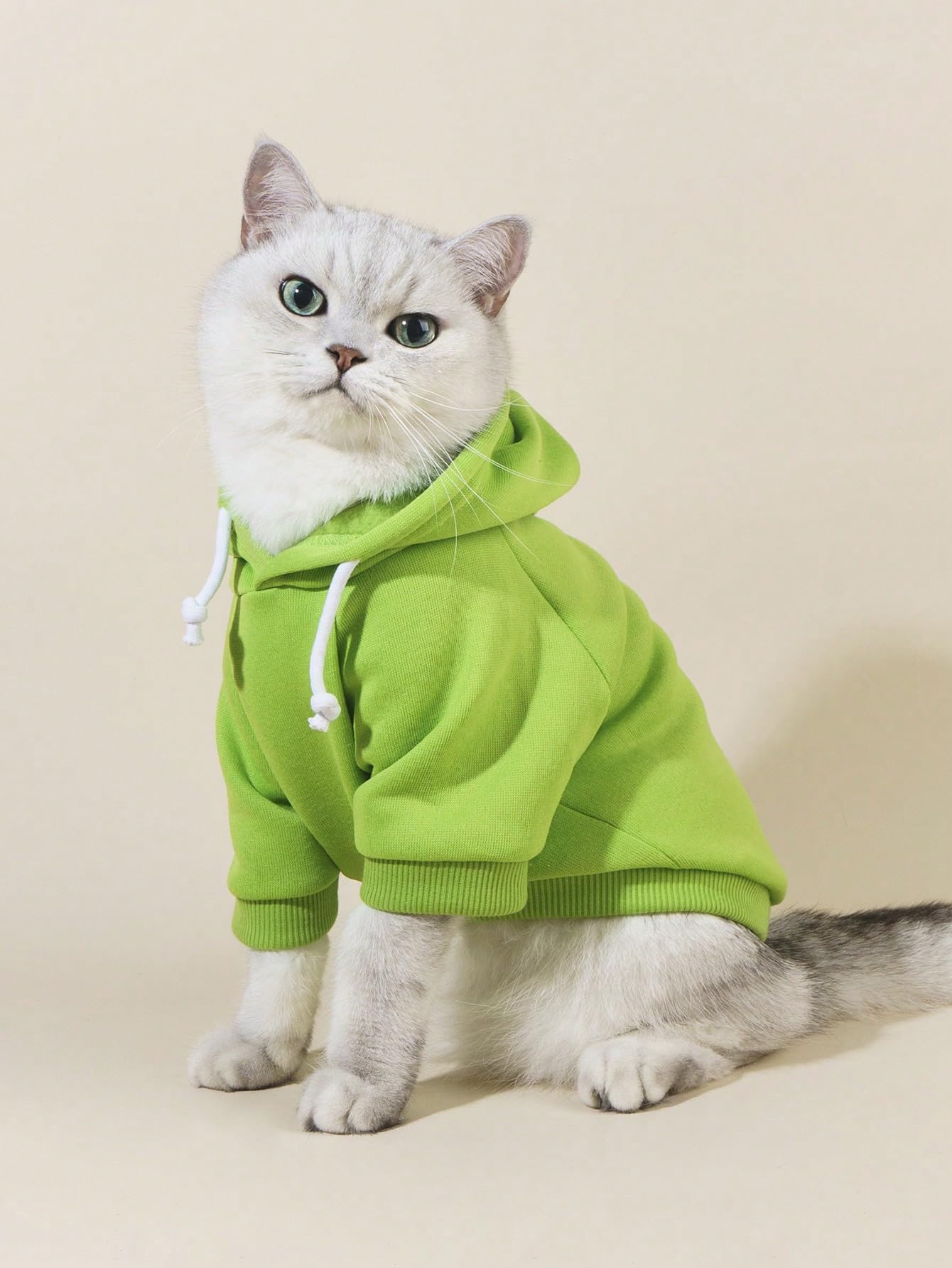 QWINEE Basic Dog Hoodie Sweatshirt Puppy Sweater Warm Cat Costumes Pet Clothes for Chihuahua Puppy Kitten Small Medium Dogs Green Large