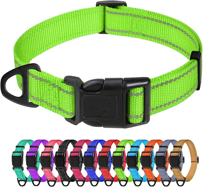 TagME Reflective Nylon Dog Collars, Adjustable Classic Pet Collar with Quick Release Buckle for Medium Dogs, Green, 1.0" Width