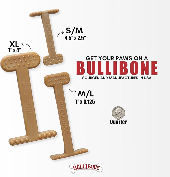 Bullibone Nylon Dog Chew Toy for Aggressive Chewers - Dental Hygiene Bone with Peanut Butter Flavor, Durable Tough Chew Toys for Small Dogs, Indestructible Dog Bone - Single