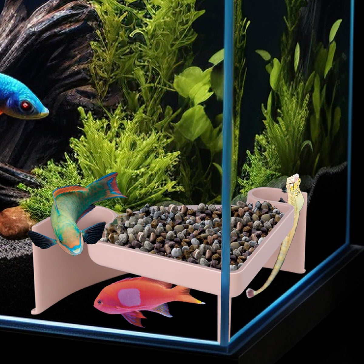 Shrimp Cave for Aquarium Tanks – Durable Fish Tank Decor, Natural Hideout for Ghost Shrimp, Fry, and Nano Fish (Easy to Clean)