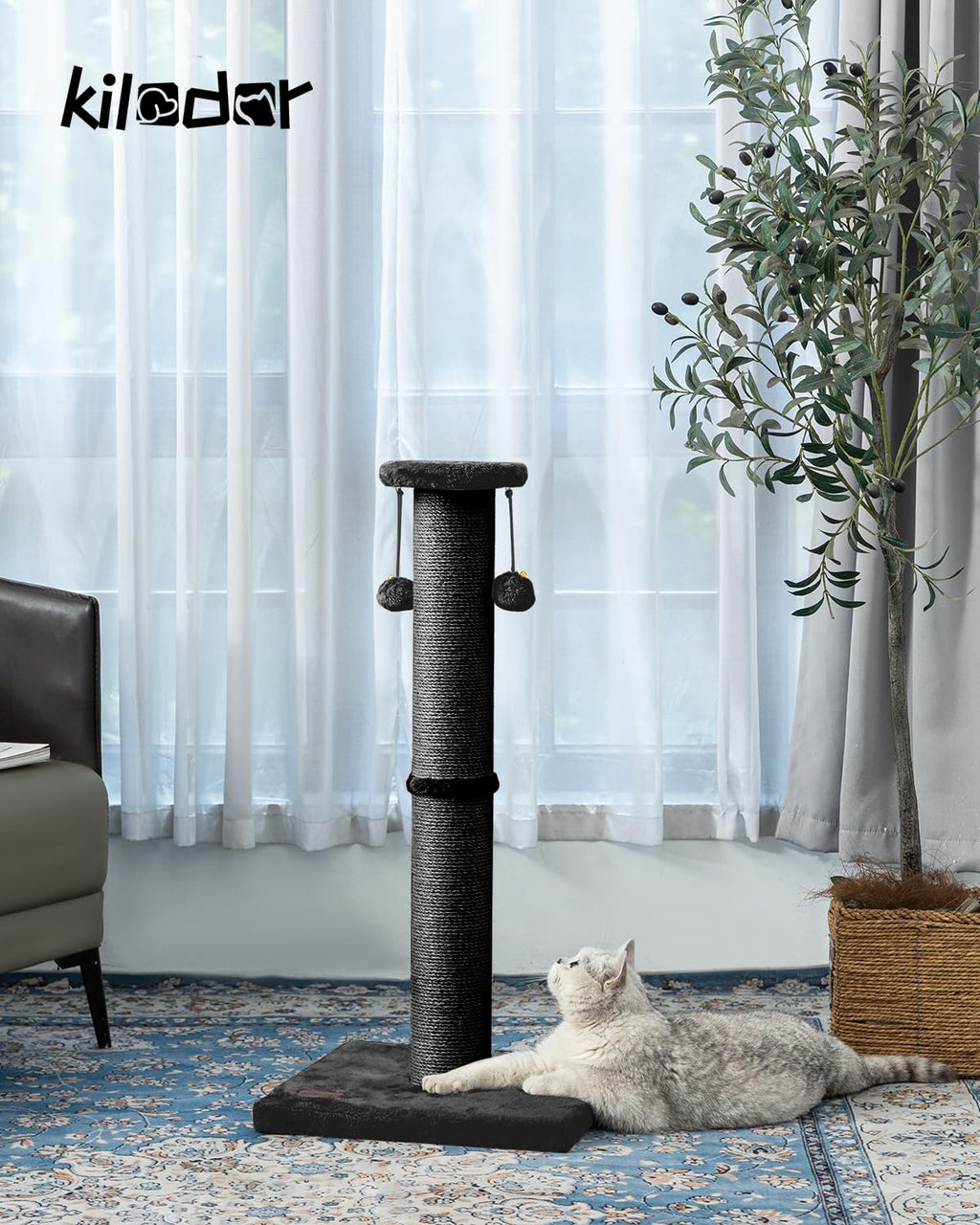 Kilodor 34Inch Tall Cat Scratching Post for Indoor Cats Adults