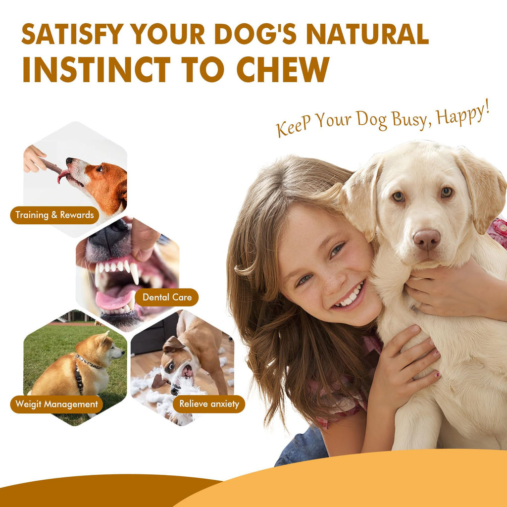 4 Pack Durable Dog Chew Toys for Aggressive Chewers-Puppy Teething Toys, Long-Lasting Dog Bones for Small & Medium Breeds-Indestructible Chew Toys for Dogs to Keep Them Busy & Support Dental Health