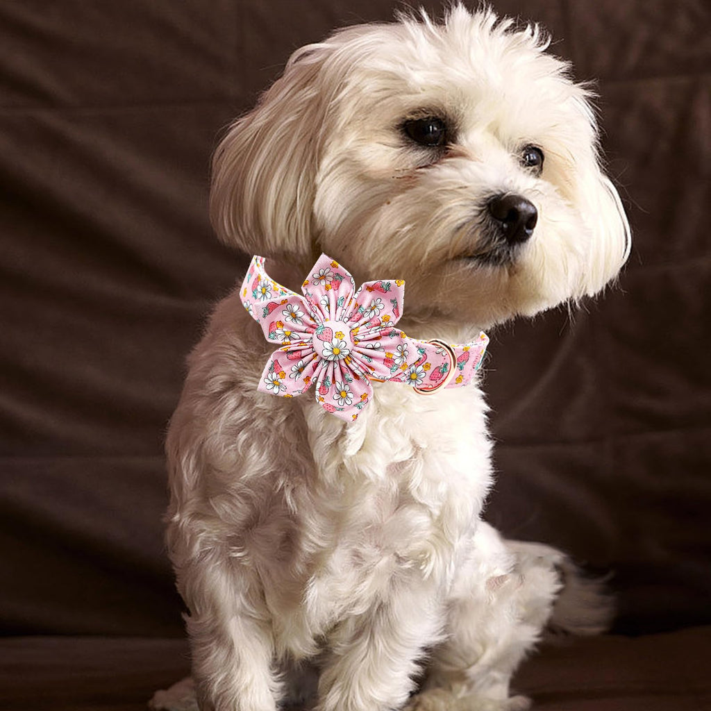 Lionheart glory Dog Collar Flower Collar Pink Dog Collar with Flower Spring Summer Cute Collar Dog Female Soft Durable Adjustable Dog Collars for Small Dogs, B:Strawberries