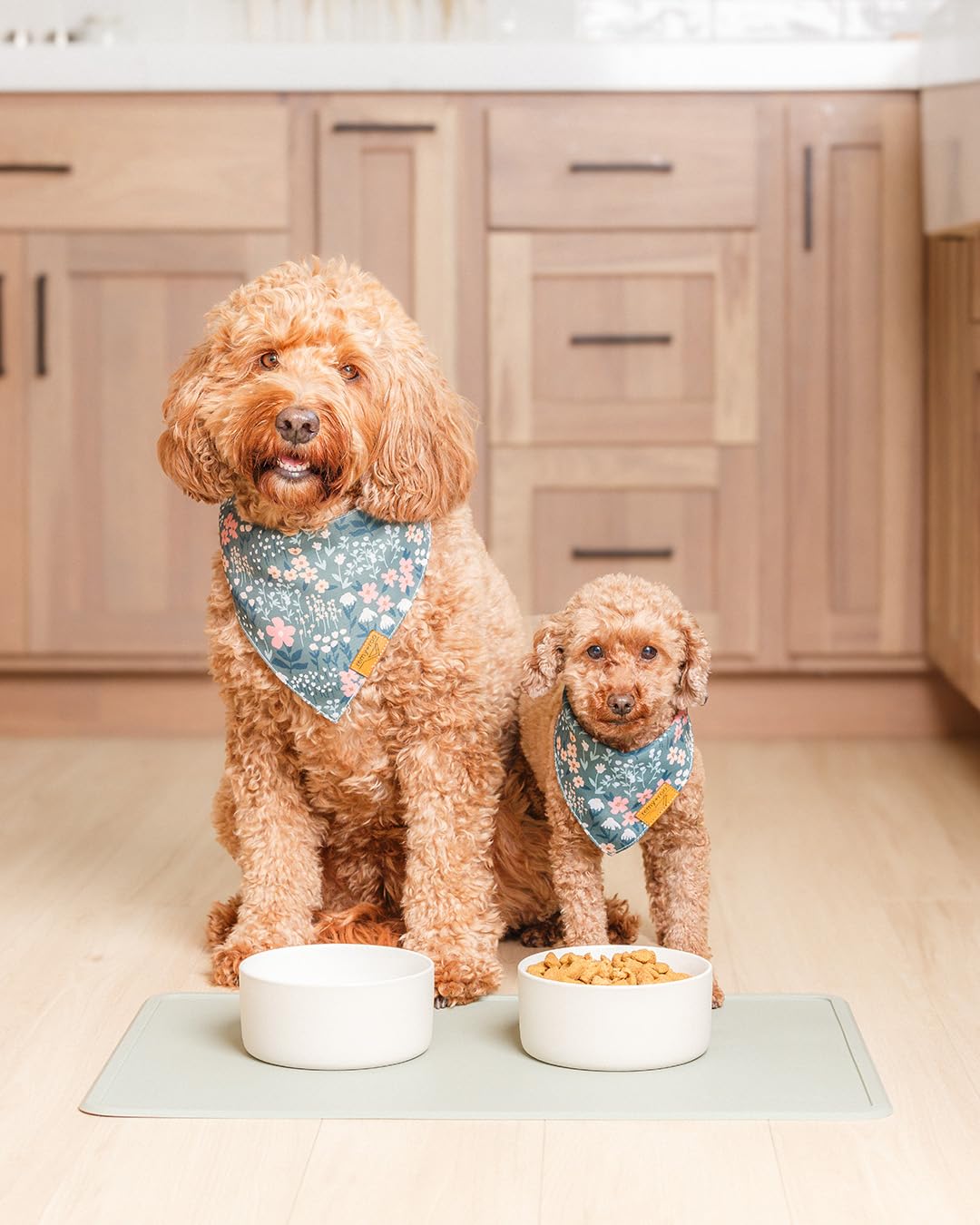 Remy+Roo Silicone Dog Food Mat for Pet Bowls - Sage - 23.6 x 15.7 Inch