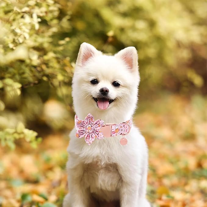 UP URARA PUP Halloween Dog Collar With Flower, Pink Puppy Collar With Adjustable Metal Buckle, Fancy Bowtie Gift for Girl Boy Dog, L