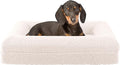PETMAKER Memory Foam Orthopedic Dog Bed for Small Pets, Cream, 26”x19”x5.7”