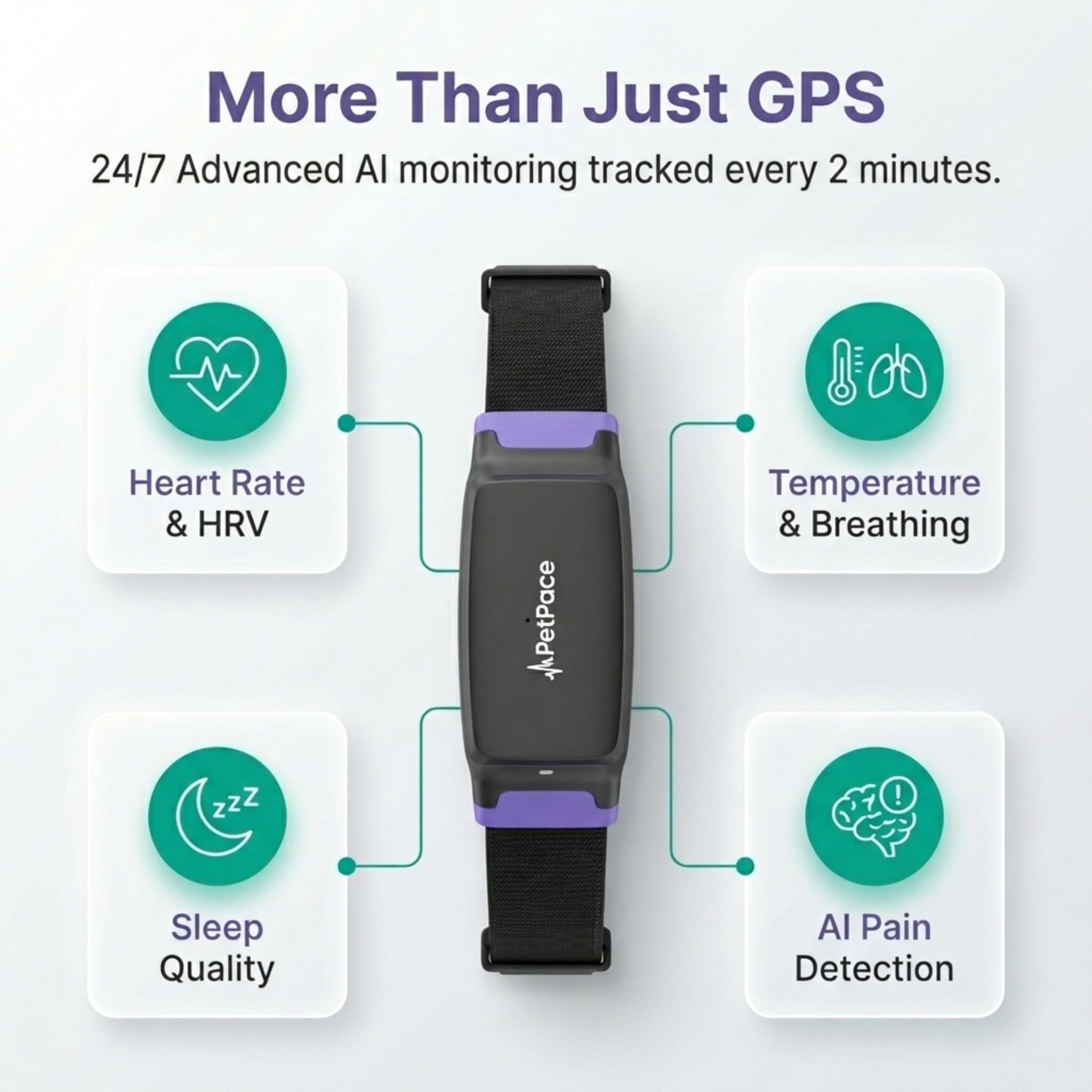 NEW Dog Health Monitor V3.0 by PetPace – AI Smart Collar with 24/7 Vital Signs, Pain & GPS Tracking, Telehealth AskaVet & Share With Your Vet, Smartwatch Sync – Subscription Required (Small)