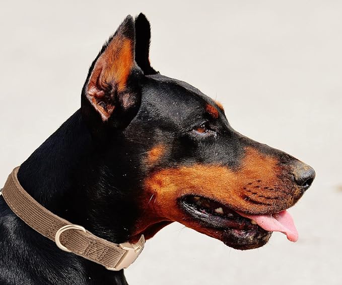 YUDOTE Soft Cotton Dog Collar with Metal Buckle Adjustable Heavy Duty Comfy Corduroy Collars for Small Medium Large Dogs,Brown,Large