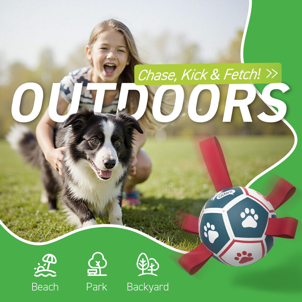 QDAN Small Dog Toys, Outdoor Indoor Toys to Keep Them Busy, Dog Soccer Ball