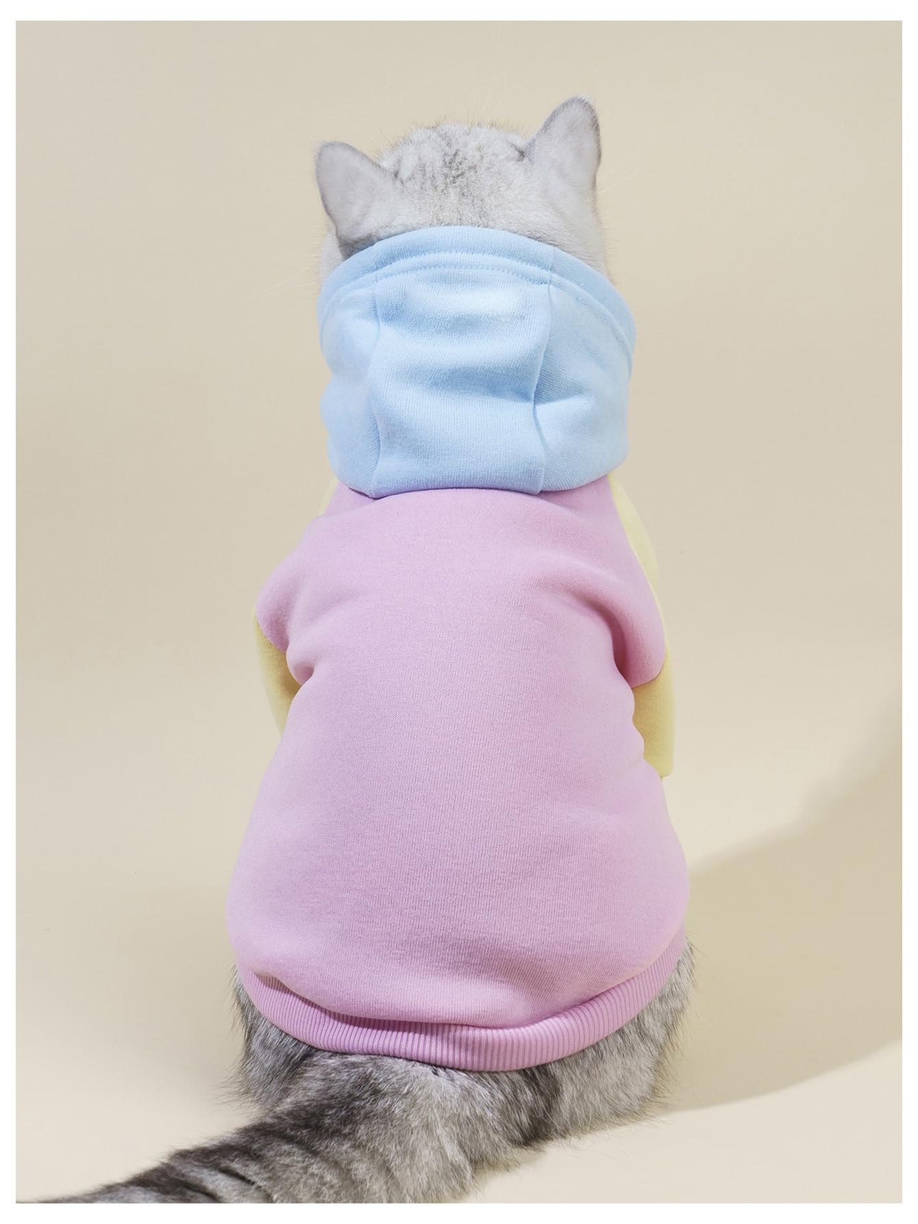 QWINEE Basic Dog Hoodie Sweatshirt Puppy Sweater Warm Cat Costumes Pet Clothes for Chihuahua Puppy Kitten Small Medium Dogs Pink Medium