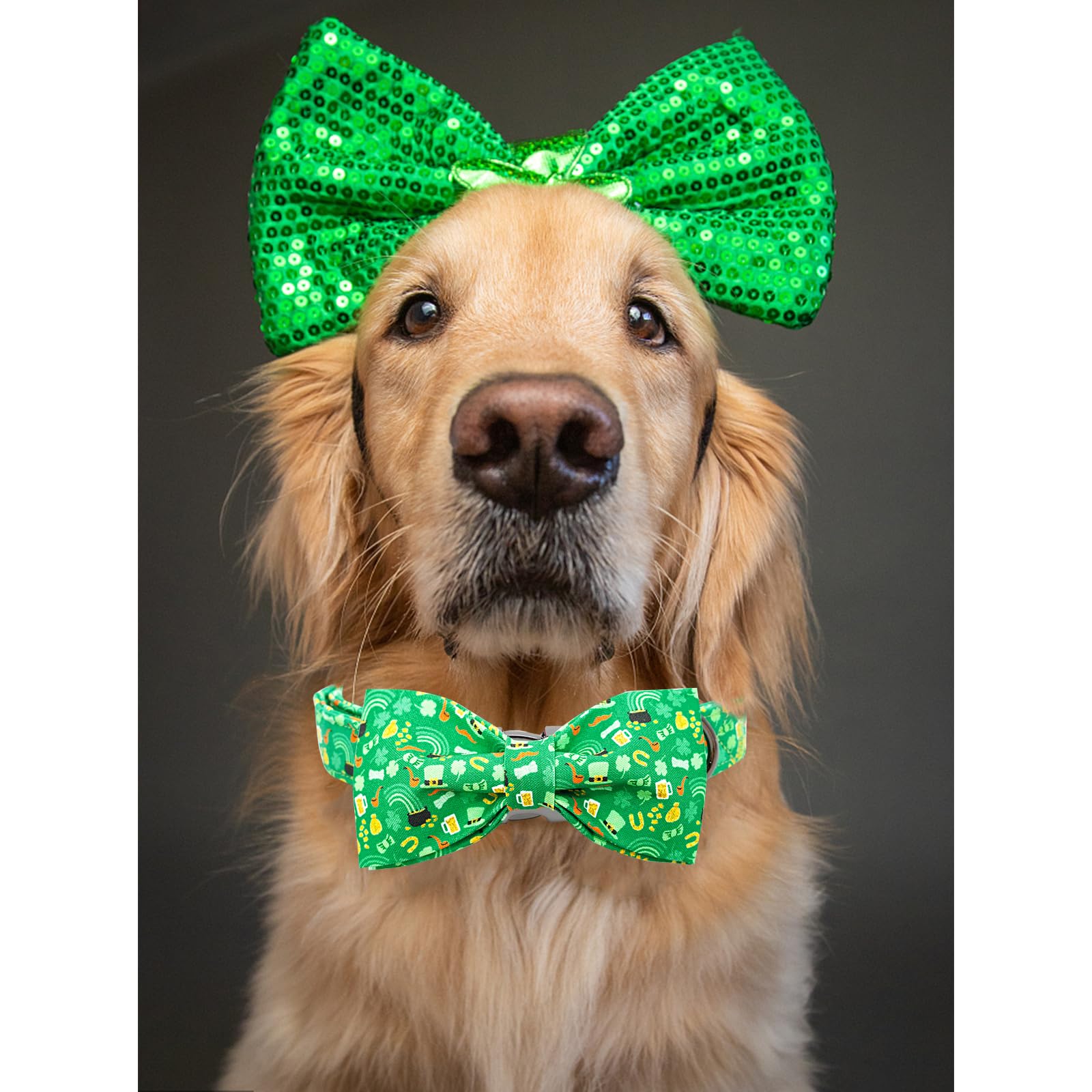 Lionheart glory Dog Bow Collar St. Patrick's Day Dog Collar for Small Dogs, Adjustable Green Collars Lucky Clover Shamrock Dog Collar with Bowtie Pet Collar Bows