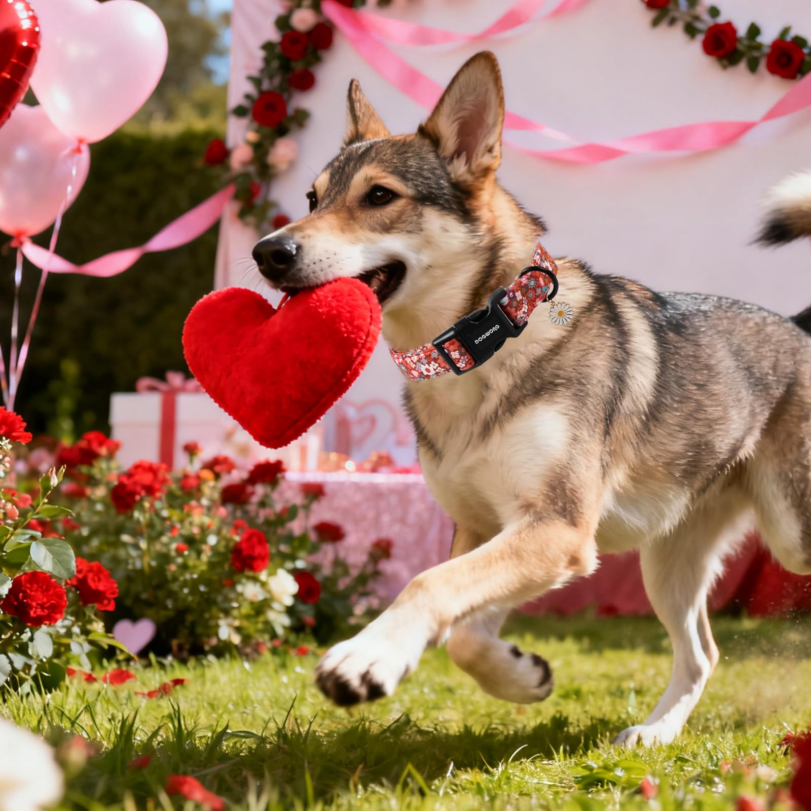 DOGWONG Red Flower Dog Collar, Cute Adjustable Floral Collar, Girl Female Dog Collar with Strong Plastic Buckle for Small Medium Large Dog.M