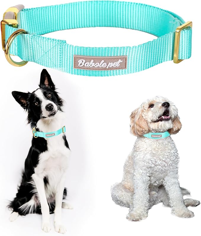 Babole Pet Nylon Dog Collar - Adjustable Lake Blue Soft Webbing Dog Collars for Small Medium Large Dogs Boy Girl Puppy Collar with Safety Metal Buckle M