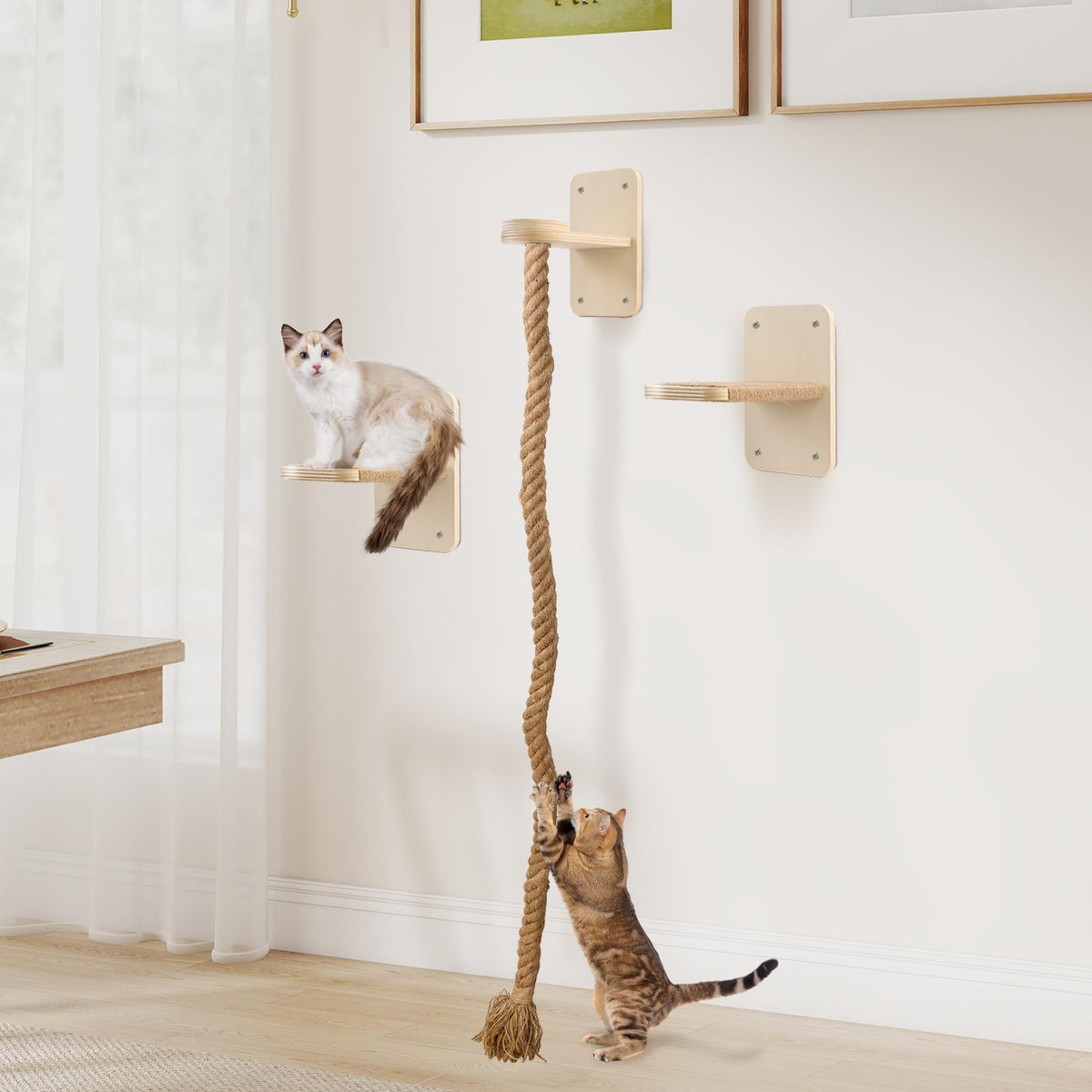 Cat Wall Shelves with 2 x 60 Inch Climbing Rope, Wall Mounted Cat Tree