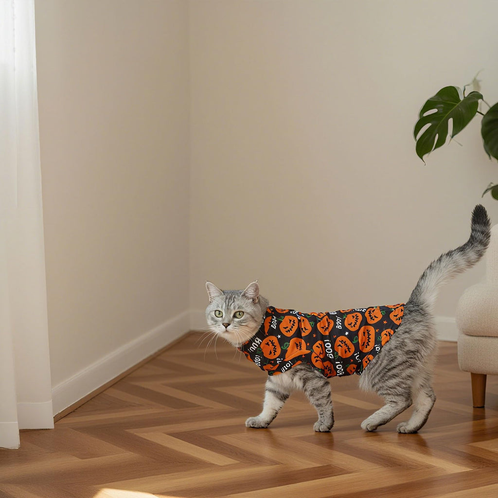 EXPAWLORER Halloween Cat Sweater Warm Fleece Pet Clothes for Cats Only