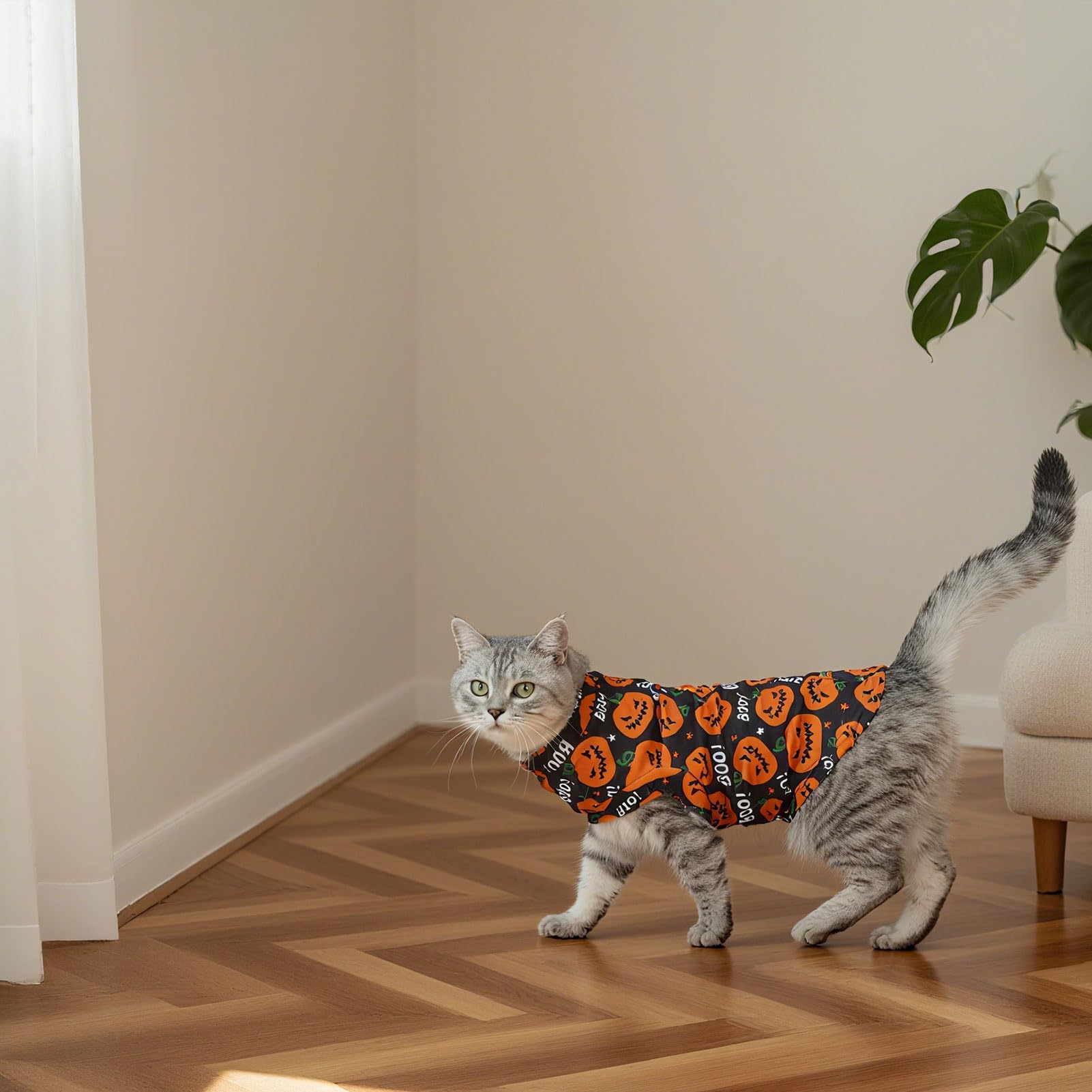 EXPAWLORER Halloween Cat Sweater Warm Fleece Pet Clothes for Cats Only