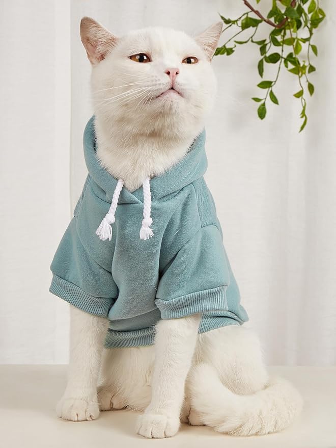QWINEE Basic Dog Hoodie Sweatshirt Puppy Sweater Warm Cat Costumes Pet Clothes for Chihuahua Puppy Kitten Small Medium Dogs Pink and Green Small